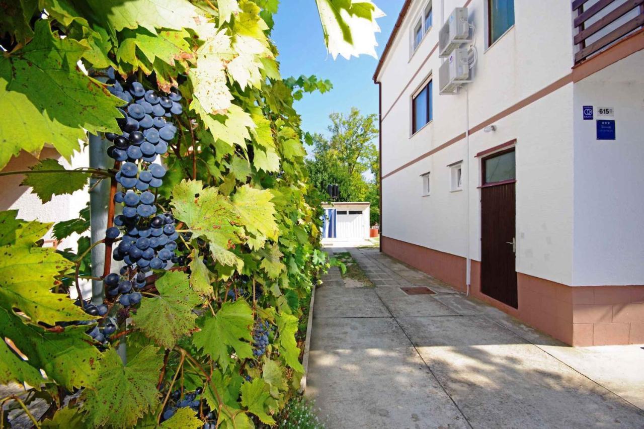 Apartments In Sabunike/Zadar Riviera 7812 Нин Экстерьер фото